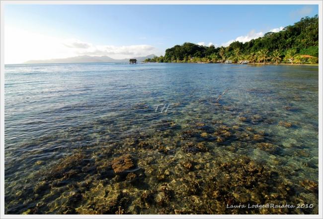 Raiatea011.JPG